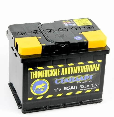 Фото тюмень standard 6ст -55.1 l