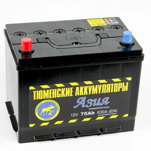 Фото тюмень asia 6ст -75.1 l