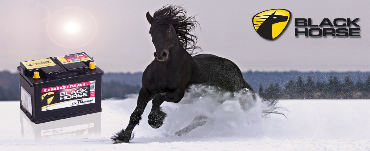 Аккумуляторная батарея Black Horse