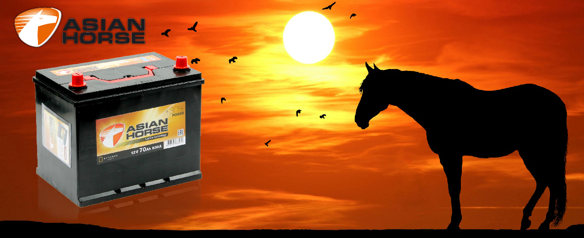 Аккумуляторная батарея Asian Horse