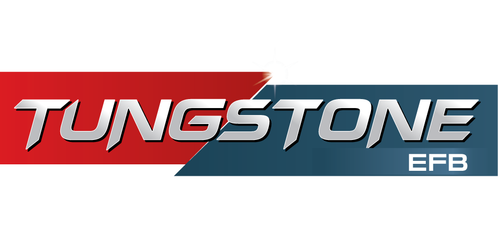 tungstone-efb лого.png