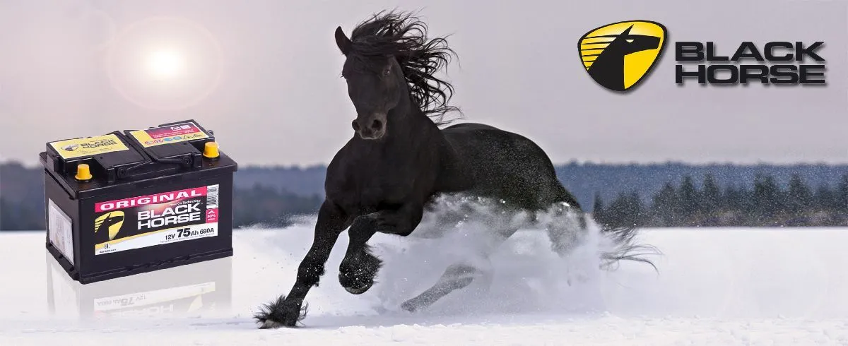 Аккумуляторная батарея Black Horse Аккумуляторная батарея Black Horse